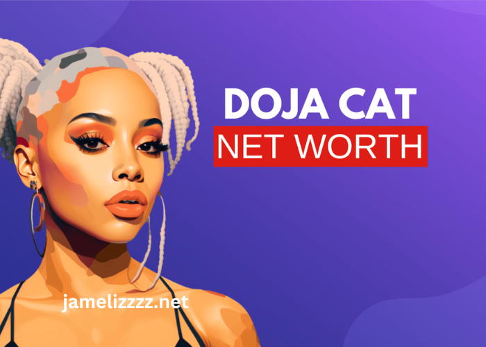 doja cat net worth